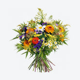 exercitation ullamco