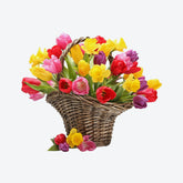 exercitation ullamco